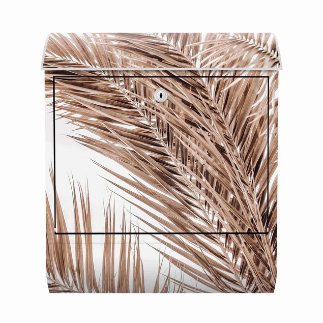 Caixas de correio paisagens Bronze Coloured Palm Fronds