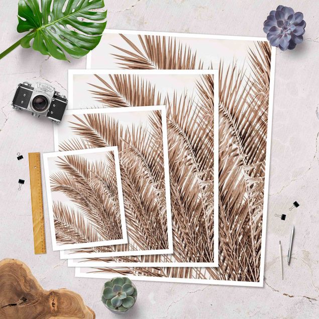 Posters Bronze Coloured Palm Fronds