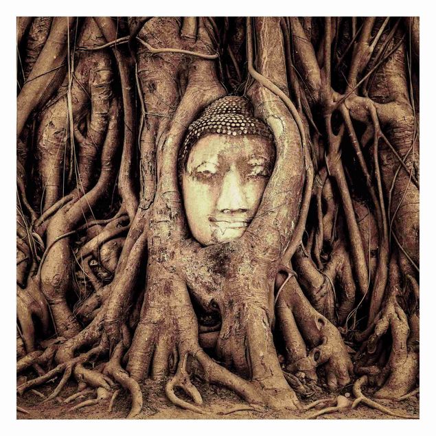 Mural de parede Buddha In Ayutthaya Lined From Tree Roots In Brown