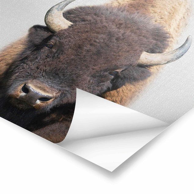 Posters Buffalo Bertram
