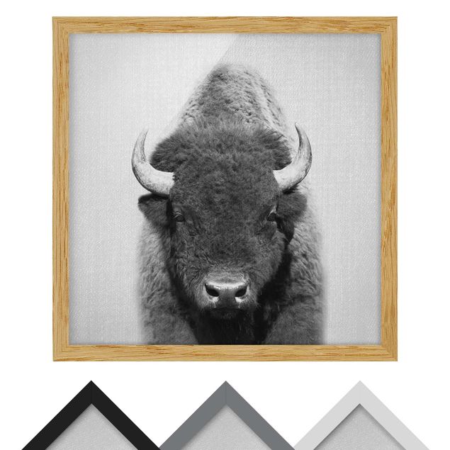 decoração quadros Buffalo Bertram Black And White