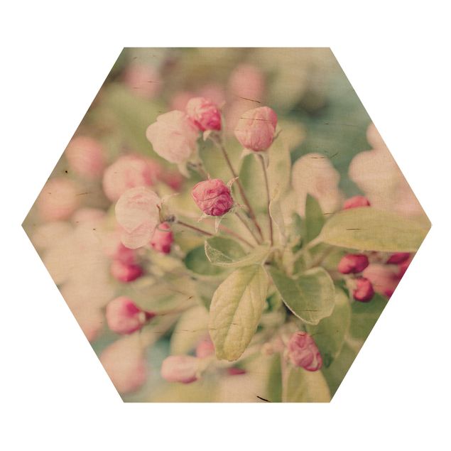 Quadros rosas Apple Blossom Pink Bokeh