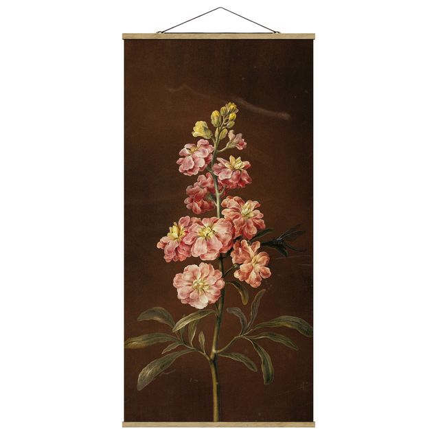 quadros de flores Barbara Regina Dietzsch - A Light Pink Gillyflower