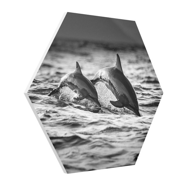 quadro animais quarto bebé Two Jumping Dolphins
