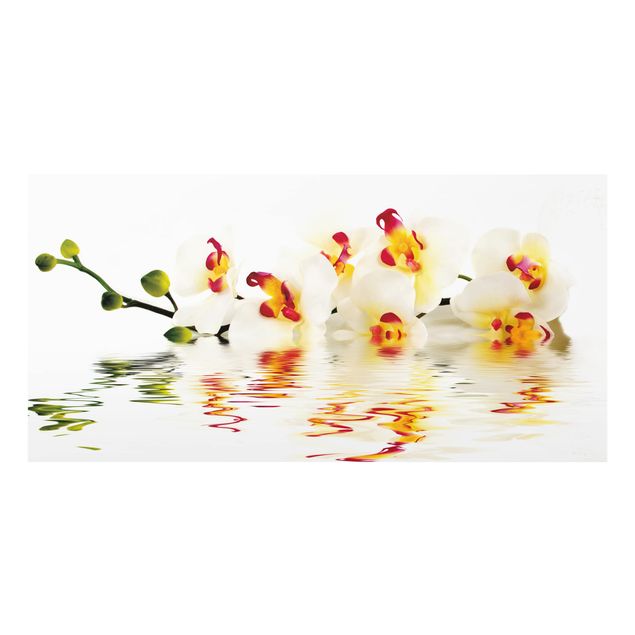 Painel anti-salpicos de cozinha Vivid Orchid Waters