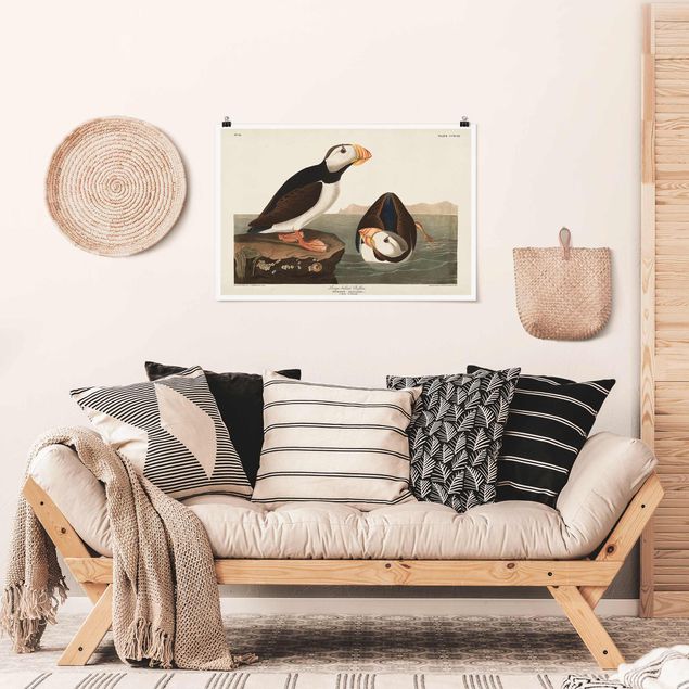 Quadros paisagens Vintage Board Puffin II