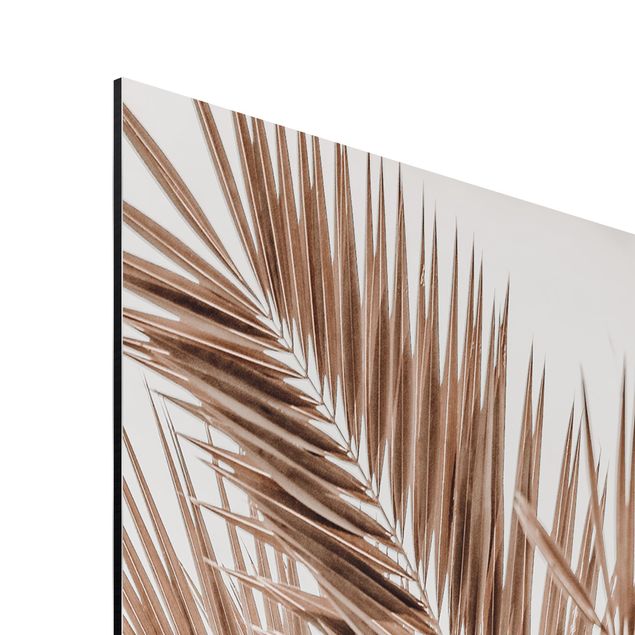 Quadros natureza Bronze Coloured Palm Fronds