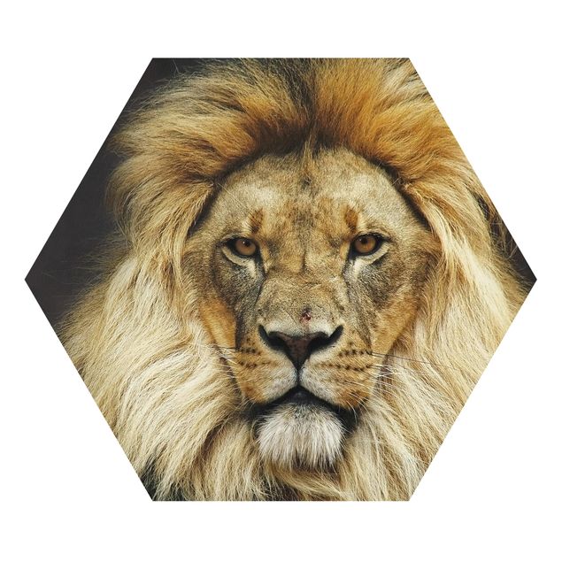 Quadros forex Wisdom Of Lion