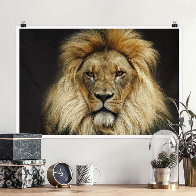 decoraçoes cozinha Wisdom Of Lion