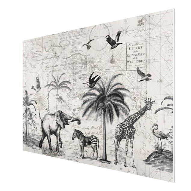 Quadros girafas Vintage Collage - Exotic Map