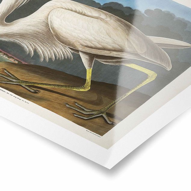quadros para parede Vintage Board Great White Egret