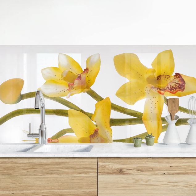 decoraçoes cozinha Saffron Orchid Waters