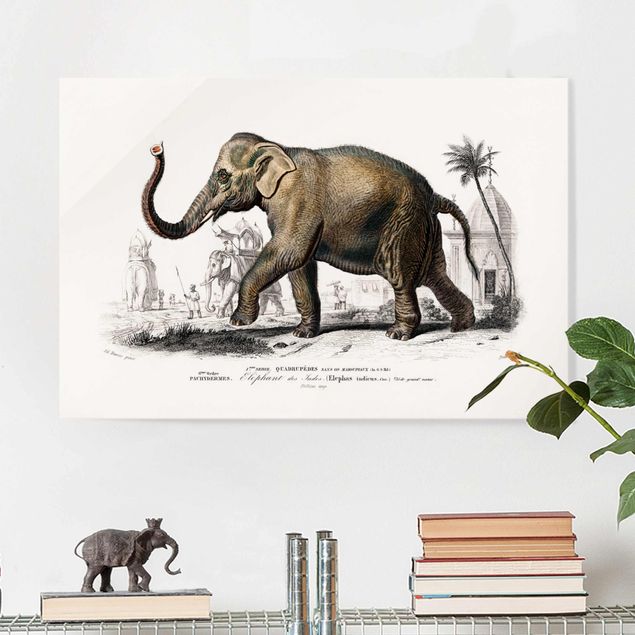 decoraçoes cozinha Vintage Board Elephant
