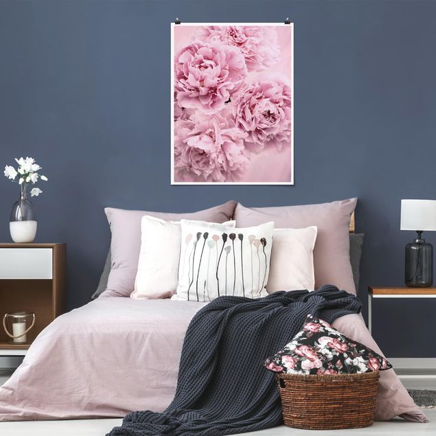 Posters flores Pink Peonies