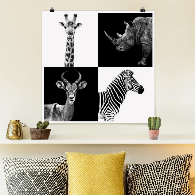 Quadros girafas Safari Quartet
