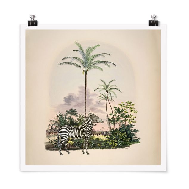 Posters quadros famosos Zebra Front Of Palm Trees Illustration