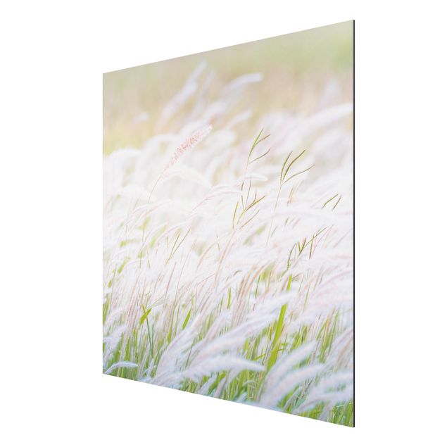 quadros de flores Soft Grasses