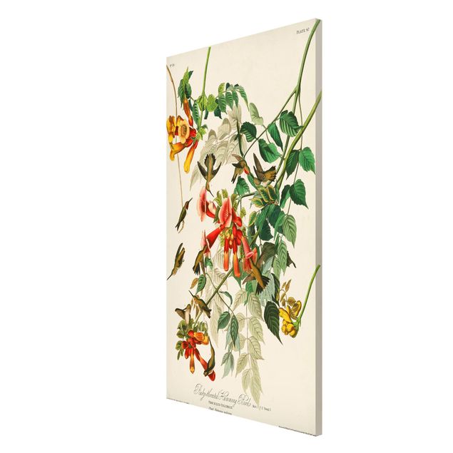 Quadros florais Vintage Board Hummingbirds