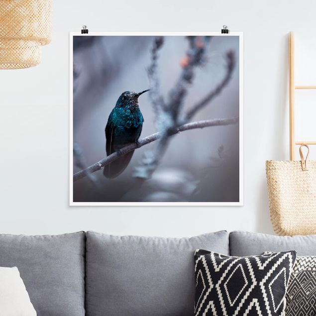 Posters animais Hummingbird In Winter