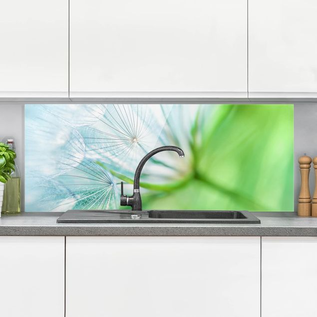 decoraçao para parede de cozinha Abstract dandelion