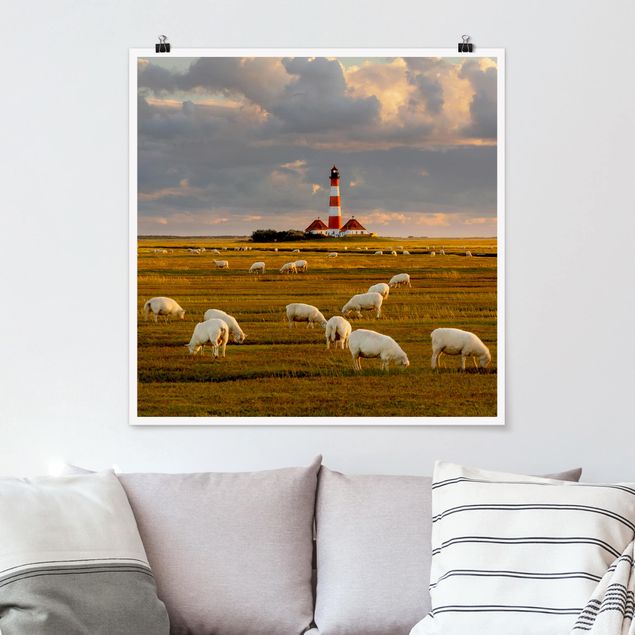 quadros de paisagens North Sea Lighthouse With Flock Of Sheep