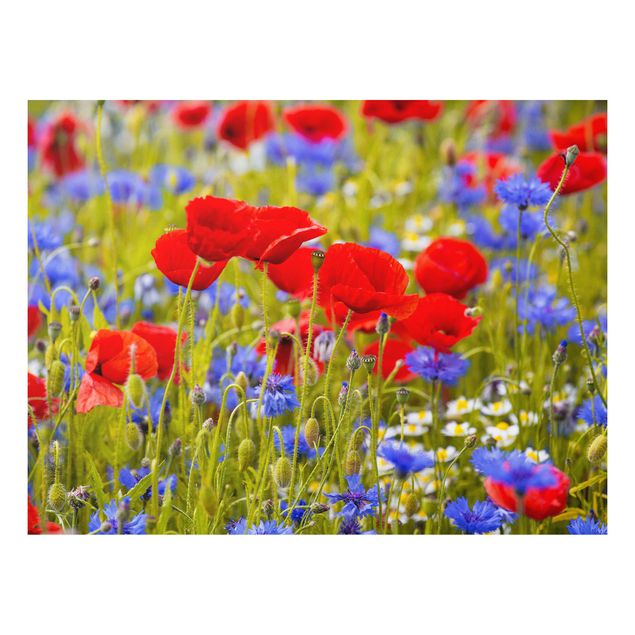 decoraçoes cozinha Summer Meadow With Poppies And Cornflowers
