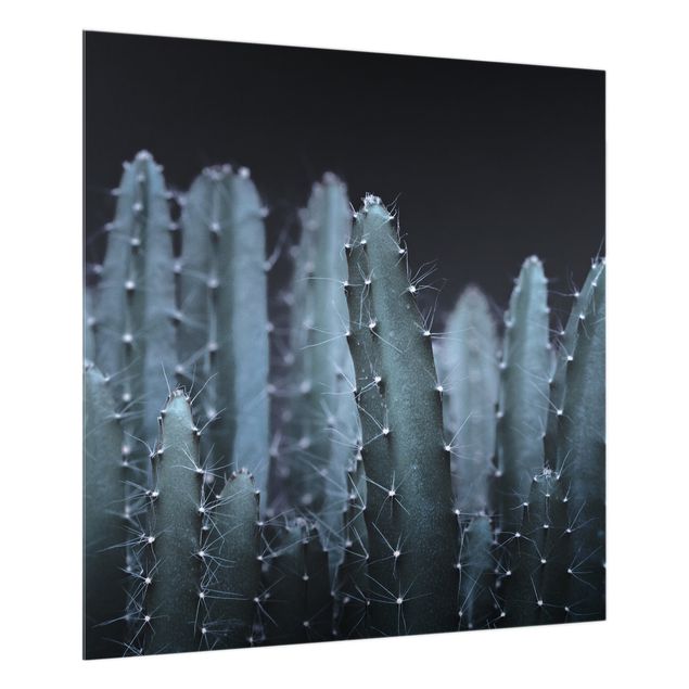 painéis antisalpicos Desert Cactus At Night