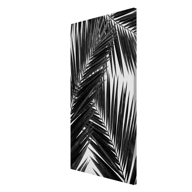 Quadros magnéticos flores View Through Palm Leaves Black And White