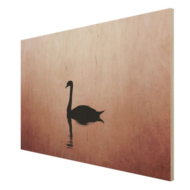 decoração quadros Swan In Sunset