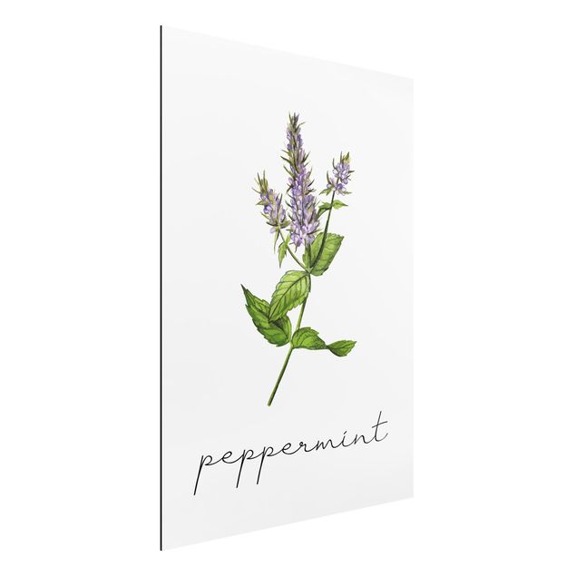 decoraçao cozinha Herbs Illustration Pepper Mint