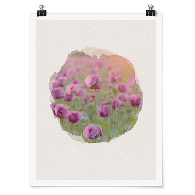 Quadros florais WaterColours - Violet Poppy Flowers Meadow In Spring