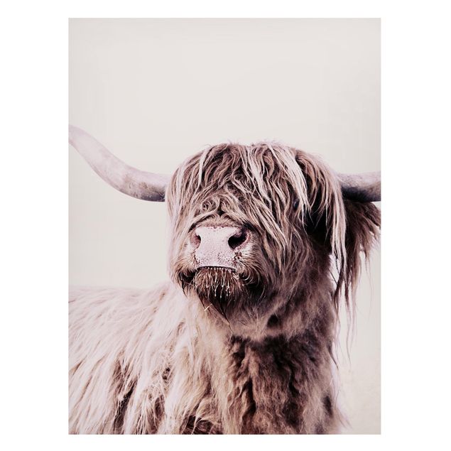 Quadros magnéticos animais Highland Cattle Frida In Beige