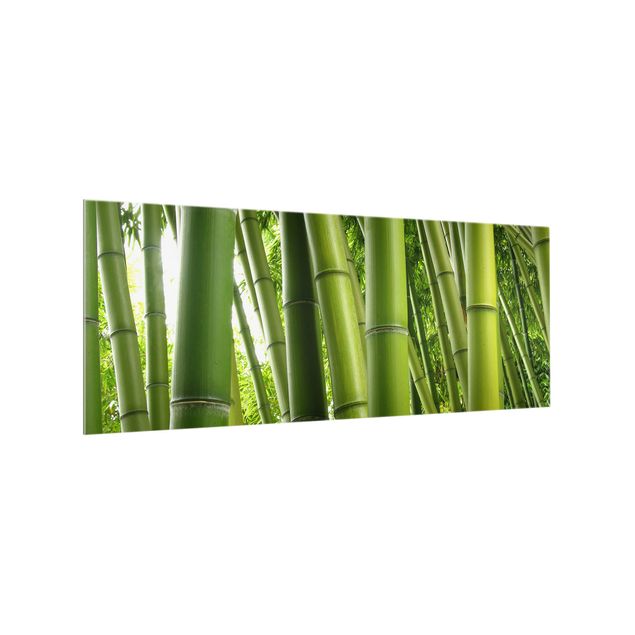 painéis antisalpicos Bamboo Trees