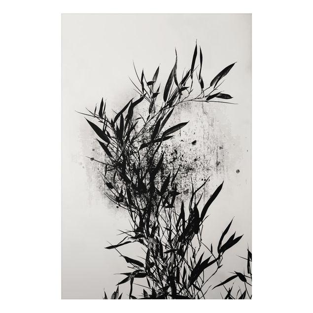Quadros peixes Graphical Plant World - Black Bamboo