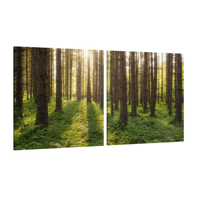quadro com paisagens Sun Rays In Green Forest