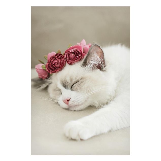 quadro de gato Sleeping Cat with Roses