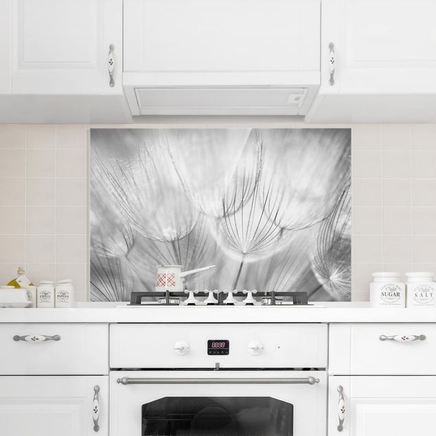 Painel anti-salpicos de cozinha flores Dandelions Macro Shot In Black And White