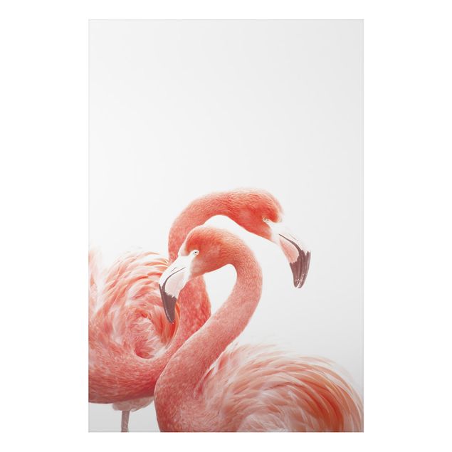Quadros penas Two Flamingos
