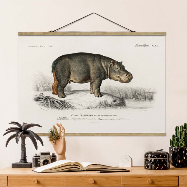 decoraçao para parede de cozinha Vintage Board Hippo