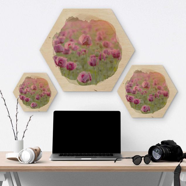 Quadros hexagonais WaterColours - Violet Poppy Flowers Meadow In Spring