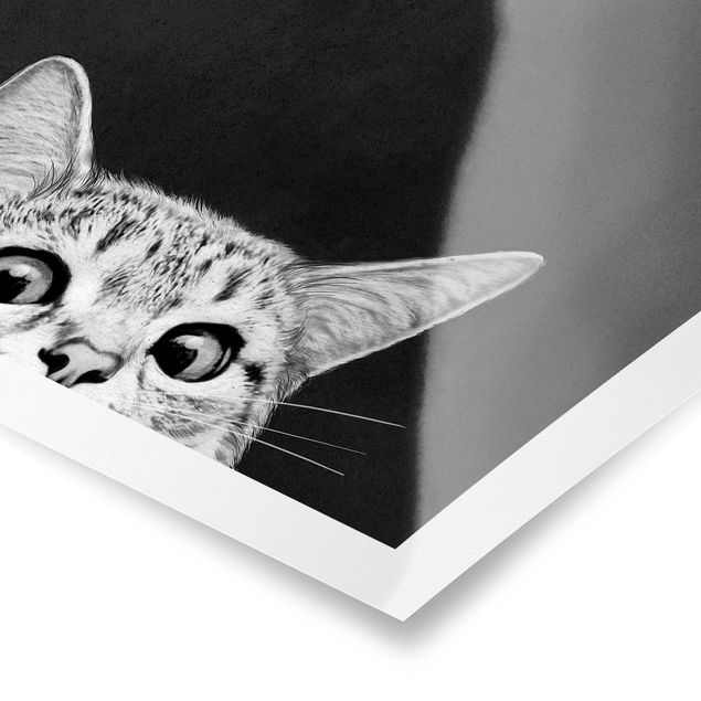 Posters animais Illustration Cat Black And White Drawing