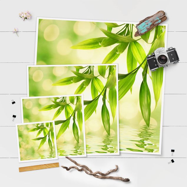 posters decorativos Green Ambiance I
