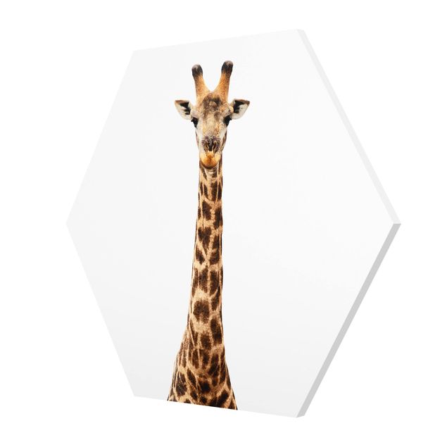 decoração quadros Giraffe head