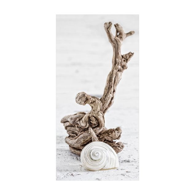 tapete para sala bege White Snail Shell And Root Wood