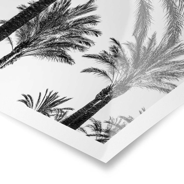 quadros preto e branco para decoração Palm Trees At Sunset Black And White