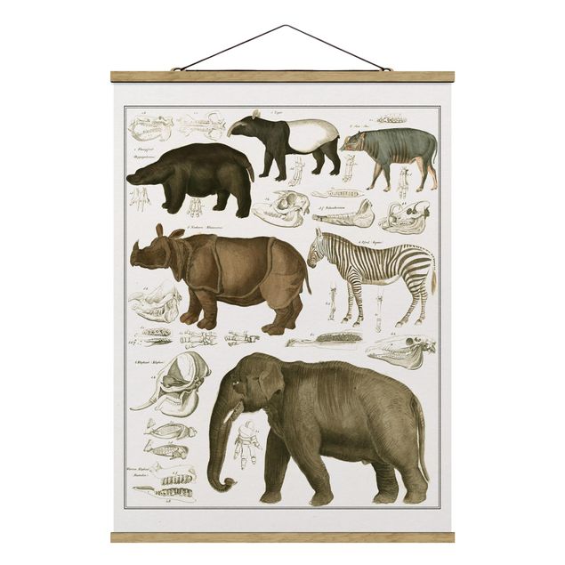 quadros de paisagens Vintage Board Elephant, Zebra And Rhino