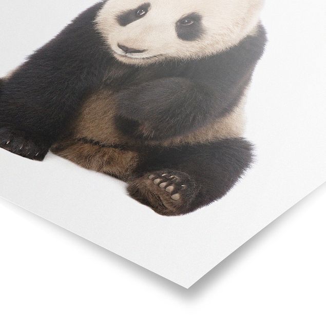 quadros decorativos para sala modernos Panda Paws