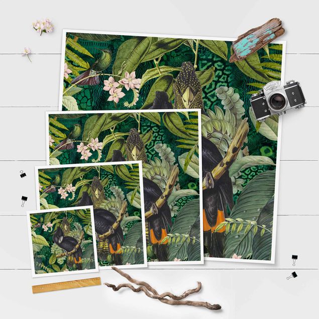 quadros para parede Colourful Collage - Cockatoos In The Jungle