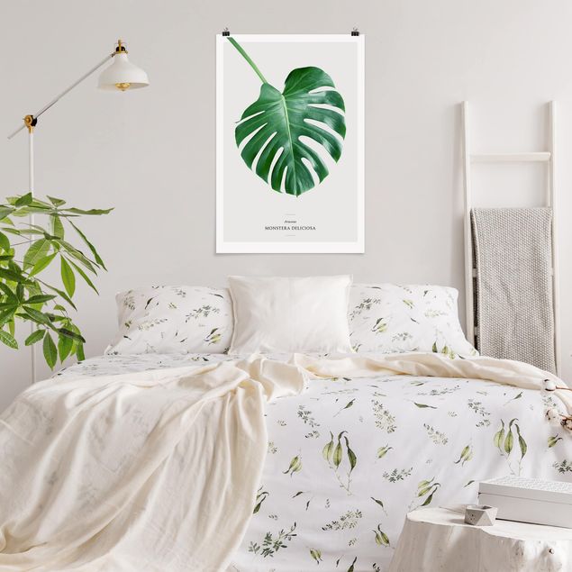 Posters flores Tropical Leaf Monstera