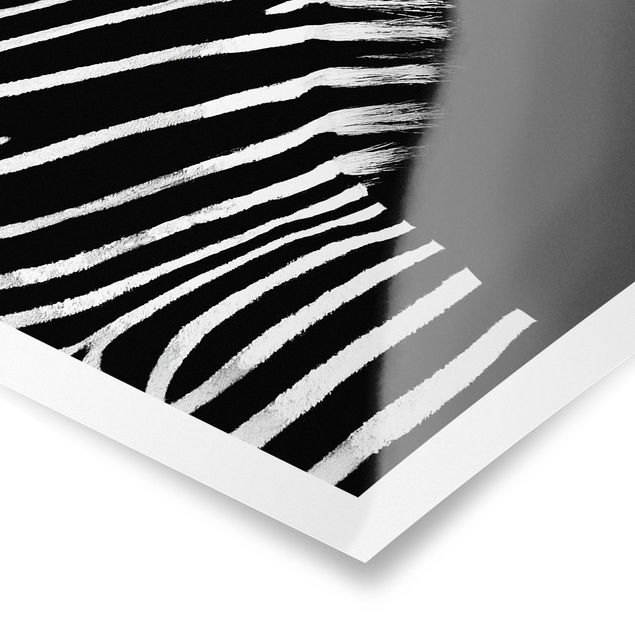 Quadros preto e branco Zebra Safari Art